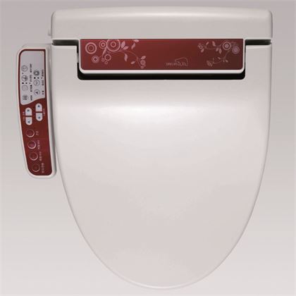 Bồn cầu thông minh DST-300R